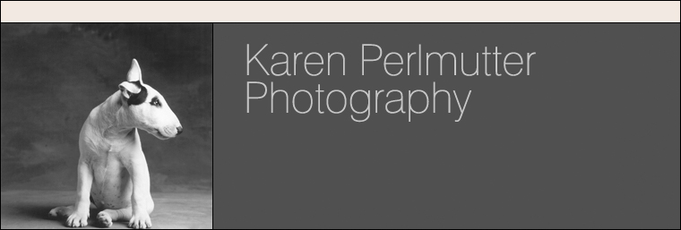 karen perlmutter photography